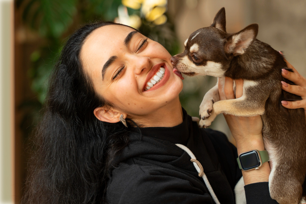 Veterinarian in Simi Valley, CA